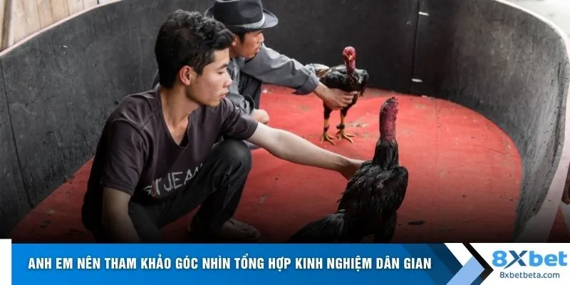 Anh em nên tham khảo góc nhìn tổng hợp kinh nghiệm dân gian